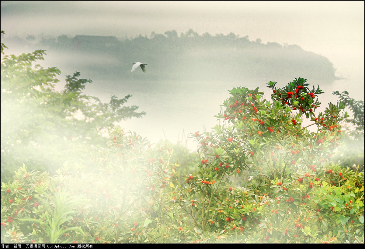 �ֵ���÷�tr